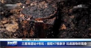 三星堆遗址4号坑：提取47根象牙 坑底器物终现身