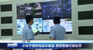 小伙子谎称电动车被盗 报假警被行政处罚
