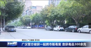 广汉警方破获一起跨市贩毒案 查获毒品300余克