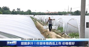 甜脆多汁！什邡本地西瓜上市 价格看好