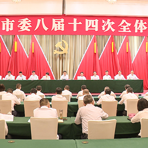 中共德阳市委八届十四次全会举行