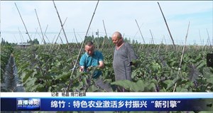 绵竹：特色农业激活乡村振兴“新引擎”