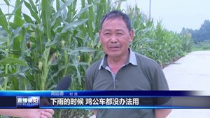 罗江：高标准农田建设 解决农民种植难题