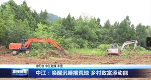中江：唤醒沉睡撂荒地 乡村致富添动能