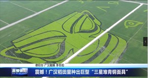震撼！广汉稻田里种出巨型“三星堆青铜面具”