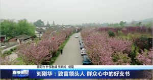 刘刚华：致富领头人 群众心中的好支书