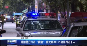 德阳警方打击“黄赌” 查处案件315起处罚近千人