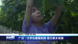广汉：大学生暑期实践 助力家乡发展