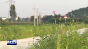 郭福兵：村民致富“领头雁”乡村振兴“排头兵”