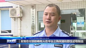 网购野生动物制品 遭起！