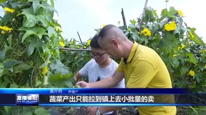 广汉：“四好农村路” 铺就村民致富路