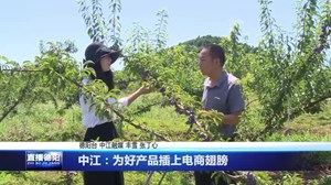 中江：为好产品插上电商翅膀
