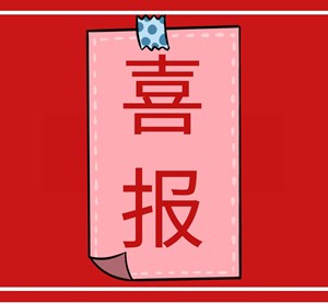 喜讯！德阳这家公司成为四川省首批区域型数字化转型促进中心！