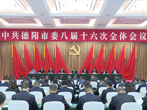 中共德阳市委八届十六次全会召开
