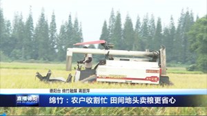 绵竹：农户收割忙 田间地头卖粮更省心