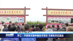 罗江：开展青花椒种植技术培训 为增收夯实基础
