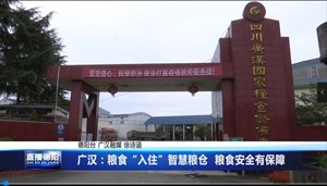 广汉：粮食“入住”智慧粮仓 粮食安全有保障