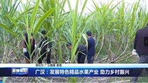 广汉：发展特色精品水果产业 助力乡村振兴