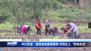中江积金：撂荒地变蔬菜基地 村民过上“职场生活”