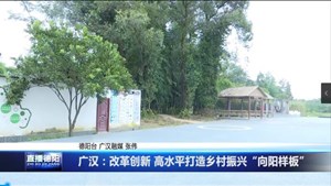 广汉：改革创新 高水平打造乡村振兴“向阳样板”