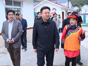 提高帮扶实际成效 助推凉山乡村振兴全速发展