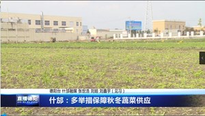 什邡：多举措保障秋冬蔬菜供应