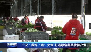 广汉：做好“菜”文章 打造绿色蔬菜优势产业
