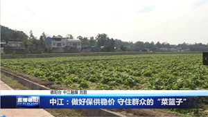 中江：做好保供稳价 守住群众的“菜篮子”
