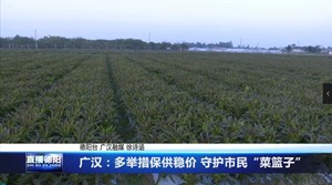广汉：多举措保供稳价 守护市民“菜篮子”