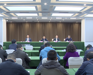  不断巩固拓展脱贫攻坚成果  接续推进乡村全面振兴