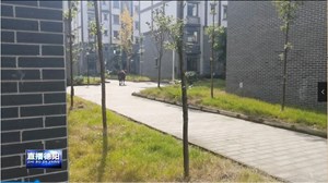 受惊牛儿街头狂奔 特警果断开枪击毙