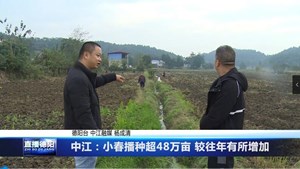中江：小春播种超48万亩 较往年有所增加