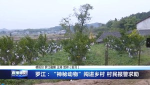 罗江：“神秘动物”闯进乡村 村民报警求助