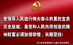 党的十九届六中全会宣传标语（1）