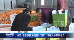 中江：集体与经营主体携手“双赢” 发展壮大村级集体经济