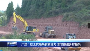 广汉：以工代赈焕发新活力 加快推进乡村振兴