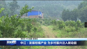 中江：发展柑橘产业 为乡村振兴注入新动能
