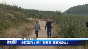 中江富兴：养牛有新意 循环出效益