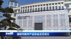 德阳市数字产业协会正式成立