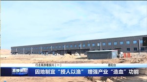 因地制宜“授人以渔” 增强产业“造血”功能