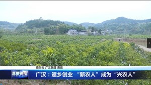 广汉：返乡创业 “新农人”成为“兴农人”