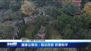 国家公祭日：铭记历史 祈愿和平