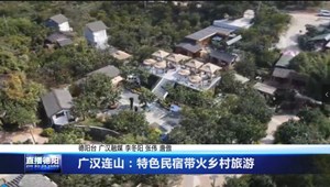 广汉连山：特色民宿带火乡村旅游