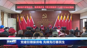 党建引领保供电 先锋先行惠民生