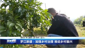 罗江新盛：加强乡村治理 推动乡村振兴 
