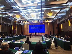 官宣！三星堆与大足石刻组CP 共建“巴蜀文化旅游走廊”