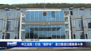 中江法院：打击“保护伞” 奋力推进扫黑除恶斗争
