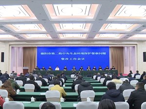 全力整改突出问题 切实提升环境质量 筑牢高质量发展绿色生态屏障