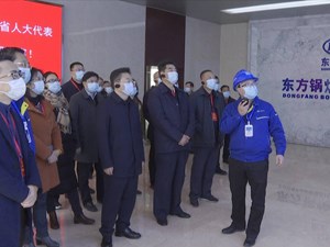国、省人大代表视察我市清洁能源装备产业发展