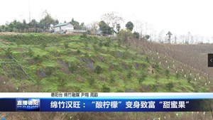 绵竹汉旺：“酸柠檬”变身致富“甜蜜果”